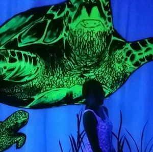 Meet your Posher, Julia